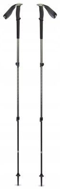 Kije trekkingowe Black Diamond Trail Trekking Poles Pine Smoke