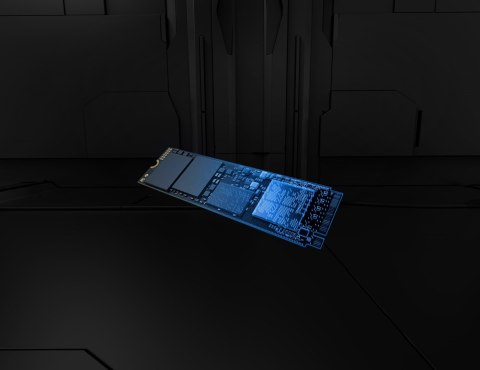 KINGSTON DYSK SSD SFYR2S/1T0 1TB FURY Ren. NVMe