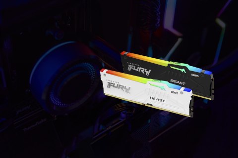 Kingston FURY DDR5 64GB (2x32GB) 6000MHz CL36 Beast White RGB EXPO