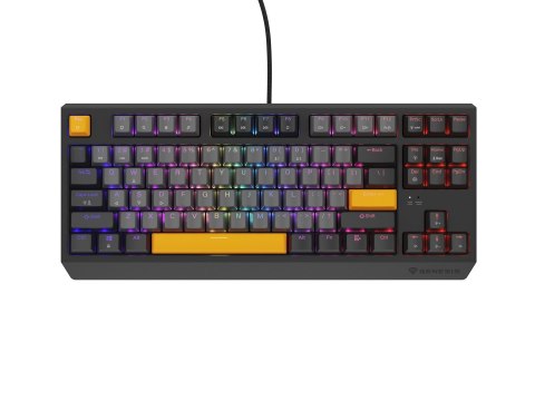 KLAWIATURA DLA GRACZY GENESIS THOR 230 TKL ANCHOR GRAY NEGATIVE US RGB MECHANICZNA OUTEMU RED