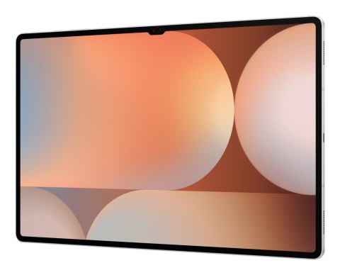 Samsung Galaxy Tab S10 Ultra (X926) WiFi+5G 16GB/1TB Silver (WYPRZEDAŻ)