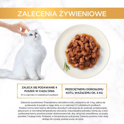 PURINA GOURMET GOLD Kawałki w sosie 96x85g