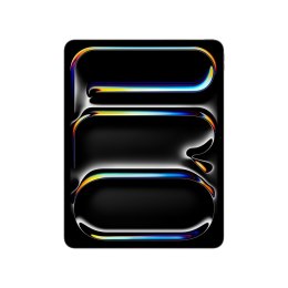 Apple 13-inch iPad Pro (M4) LTE 256GB with Standard glass - Space Black