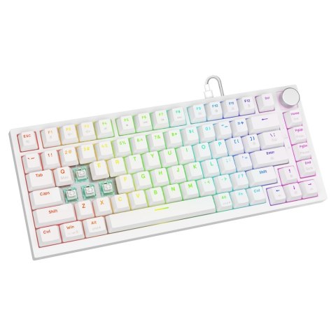 SAVIO KLAWIATURA MECHANICZNA ASTRAL WHITE OUTEMU WHITE JADE RGB
