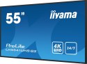 Monitor 55IN 3840X2160 4K UHD IPS 1 HAZ/VGA HDMI 500CD/QM MEDIA PLAY USB