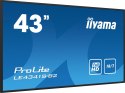 Monitor iiyama ProLite LE4341S-B2 - 43-calowy płaski ekran - 108 cm