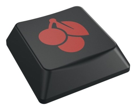 Klawiatura CHERRY TAS KC 500 MX LP Przewodowa, mechaniczna, 2.0 Ivory DE Layout