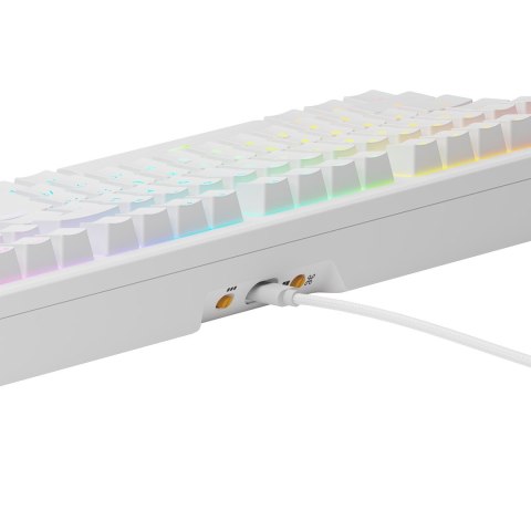 Glorious Gaming GMMK 3 HE 100% Prebuilt klawiatura USB QWERTY US English Biały