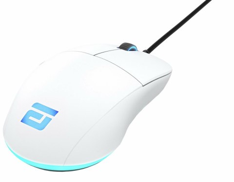 Myszka Gaming Endgame Gear XM1 RGB po prawej stronie USB Typu-A Optyczny 16000 DPI