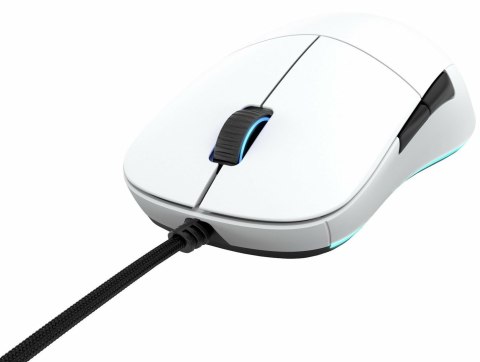 Myszka Gaming Endgame Gear XM1 RGB po prawej stronie USB Typu-A Optyczny 16000 DPI