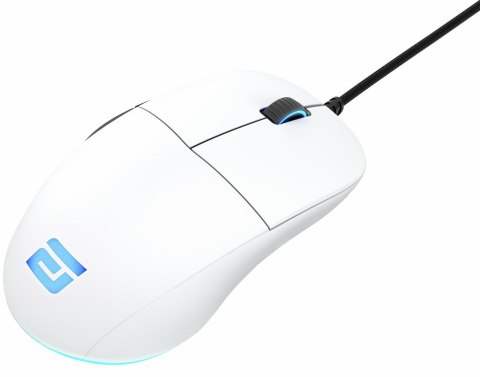 Myszka Gaming Endgame Gear XM1 RGB po prawej stronie USB Typu-A Optyczny 16000 DPI