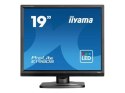 Iiyama ProLite Niezawodne rozwiązania biurowe