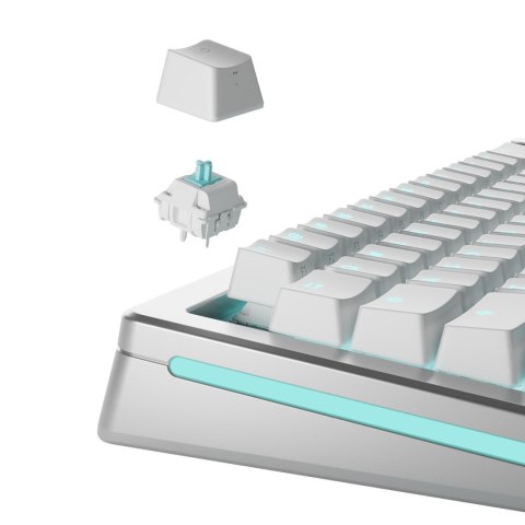 Glorious Gaming GLO-KB-ACC-SWT-LYNX-LUBED-36 bez kategorii