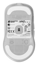 Mysz do gier Endgame Gear XM2w 4k v2 - White Frost