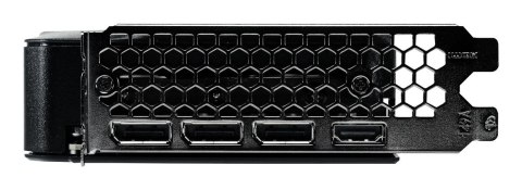 Gainward GeForce RTX 5060 Ghost - Karty graficzne