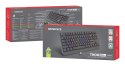 GENESIS Thor 230 TKL klawiatura Gaming USB + RF Wireless + Bluetooth QWERTY US English Czarny