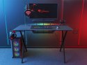GENESIS BIURKO GAMINGOWE HOLM 300 RGB