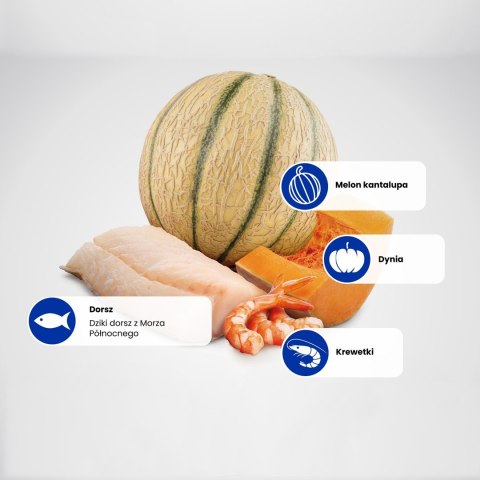 FARMINA N&D Ocean Cat Cod, Shrimp&Pumpkin - sucha karma dla kociąt - 1,5 kg