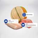 FARMINA N&D Ocean Dog Salmon, Cod&Cantaloupe - sucha karma dla psa - 2,5 kg
