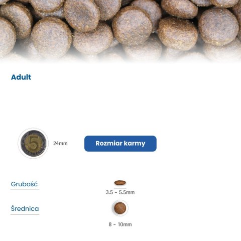 FARMINA N&D Prime Boar & Apple Adult - sucha karma dla kota - 5kg