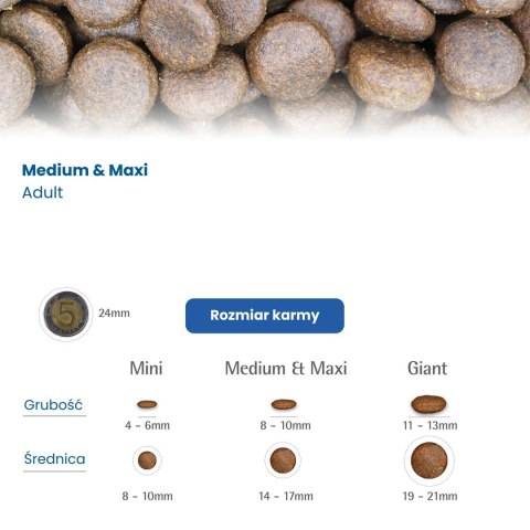 FARMINA N&D Pumpkin Boar & Apple Adult Medium & Maxi - sucha karma dla psa - 12kg