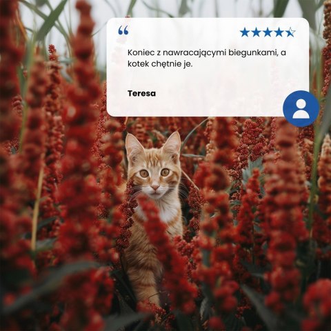 FARMINA N&D Quinoa Digestion - sucha karma dla kota - 1,5kg