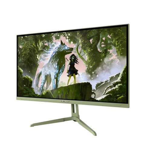 Arozzi Nova 24" monitor komputerowy 60,5 cm (23.8") 1920 x 1080 px Full HD LED Zielony