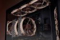 Noctua NF-A12X25 G2 LS-PWM system chłodzenia komputerów Obudowa komputera Wentylator 12 cm Beżowy 1 szt.