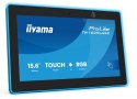 Iiyama TW1625LASC-B3PNR wyświetlacz do sal konferencyjnych. 39,6 cm (15.6") 1920 x 1080 px LED Wi-Fi 6 (802.11ax), Wi-Fi 5 (802.