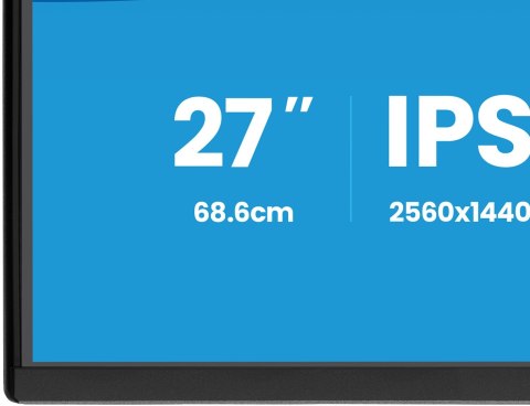 Iiyama ProLite X2792QSU-B1 monitor komputerowy 68,6 cm (27") 2560 x 1440 px Quad HD LED Czarny