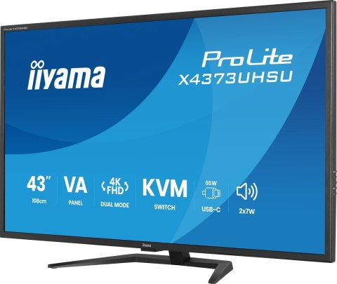 Iiyama ProLite X4373UHSU-B2 monitor komputerowy 108 cm (42.5") 3840 x 2160 px 4K Ultra HD LED Czarny