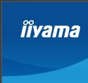 Iiyama ProLite XB2797QSU-B1 monitor komputerowy 68,6 cm (27") 2560 x 1440 px Quad HD LED Czarny