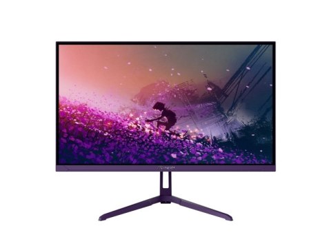 Arozzi Nova 24" monitor komputerowy 60,5 cm (23.8") 1920 x 1080 px Full HD LED Fioletowy