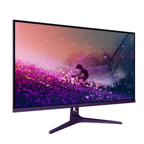 Arozzi Nova 32" monitor komputerowy 80 cm (31.5") 2560 x 1440 px Quad HD LED Fioletowy