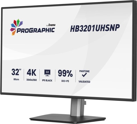 Iiyama ProGraphic HB3201UHSNP-B1 monitor komputerowy 80 cm (31.5") 3840 x 2160 px Czarny