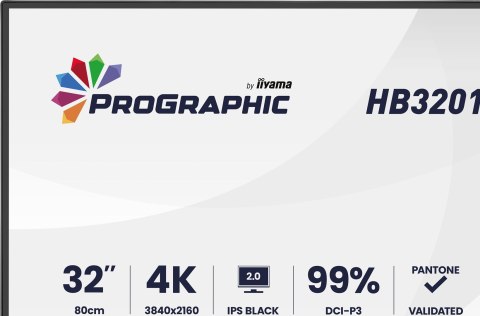 Iiyama ProGraphic HB3201UHSNP-B1 monitor komputerowy 80 cm (31.5") 3840 x 2160 px Czarny