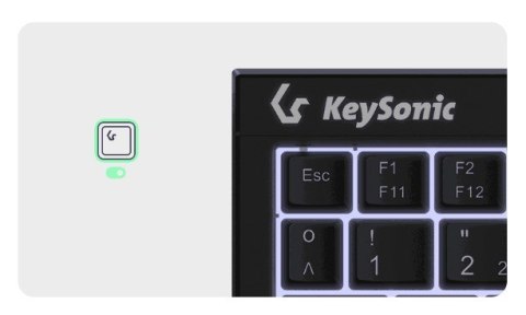 KeySonic KSK-3211ELU (DE) klawiatura Dom USB QWERTZ Niemiecki Czarny