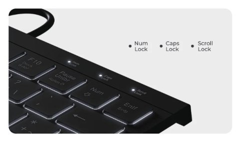 KeySonic KSK-5011ELC (DE) klawiatura Dom USB QWERTZ Niemiecki Czarny