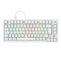 Sharkoon Gaming Tastatur Skiller SGK25 DE