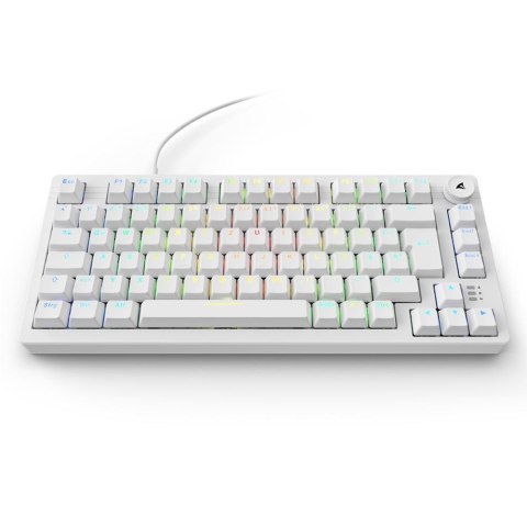 Sharkoon Gaming Tastatur Skiller SGK25 DE