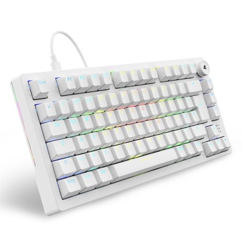 Sharkoon Gaming Tastatur Skiller SGK25 DE