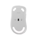 ASUS Wireless Mouse MD102 myszka Uniwersalne Po prawej stronie RF Wireless + Bluetooth Optyczny 1600 DPI