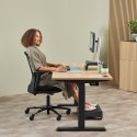 Fellowes 100143582 myszka Uniwersalne Po prawej stronie Bluetooth + USB Type-C Optyczny 2400 DPI