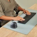 Fellowes 100143583 myszka Uniwersalne Po lewej stronie Bluetooth + USB Type-C Optyczny 2400 DPI