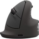 Fellowes 100143583 myszka Uniwersalne Po lewej stronie Bluetooth + USB Type-C Optyczny 2400 DPI