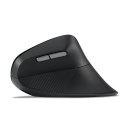 Kensington Pro Fit Ergo MY630 EQ myszka Biuro Po prawej stronie RF Wireless + Bluetooth + USB Type-A 2400 DPI