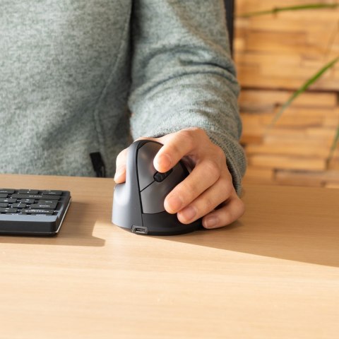 R-Go Pele HE ergonomiczna myszka lewa Bluetooth sidabrina