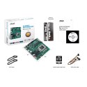 ASUS Pro H610T D4-CSM Płyta główna