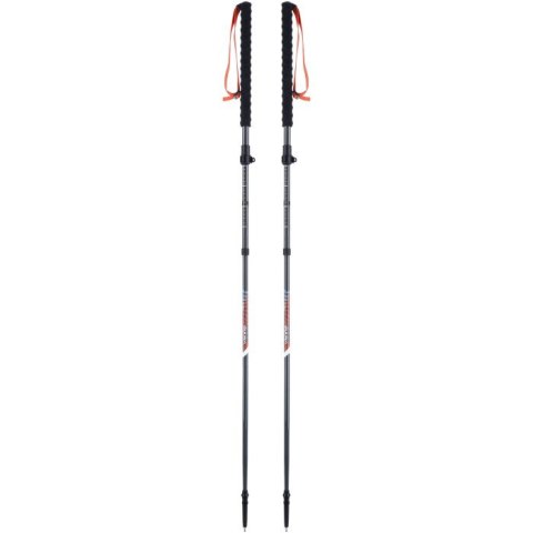 Kije dla dorosłych VIKING Mission FS skitourowe składane szare UNI