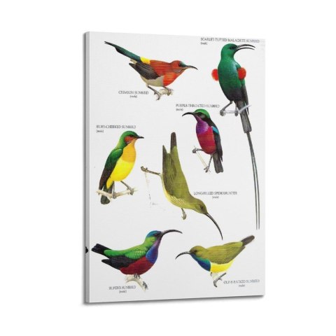 Samsung Galaxy A56 17 cm (6.7") Dual SIM Android 15 5G USB Type-C 8 GB 256 GB 5000 mAh Oliwkowy